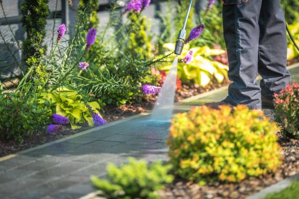 Best Parking Lot and Garage Cleaning  in Dunnigan, CA