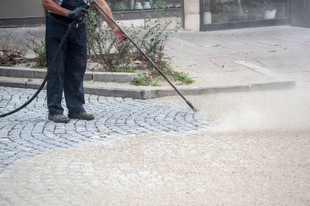 Best Boat and Dock Cleaning  in Dunnigan, CA